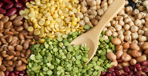 Växtbaserat protein! Varför är det så?